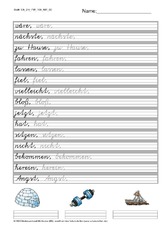 100 Fehlerwörter -VA Lineatur 2H.pdf